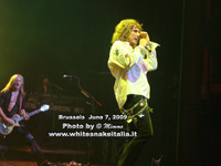 Whitesnake 2009